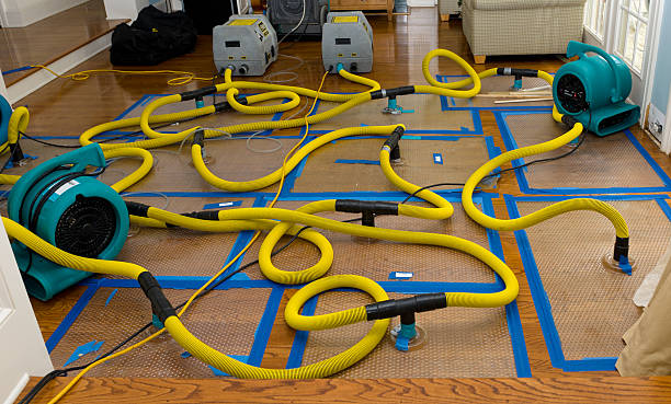 Professional Crawl Space Water Removal technician working in Merritt Island, FL